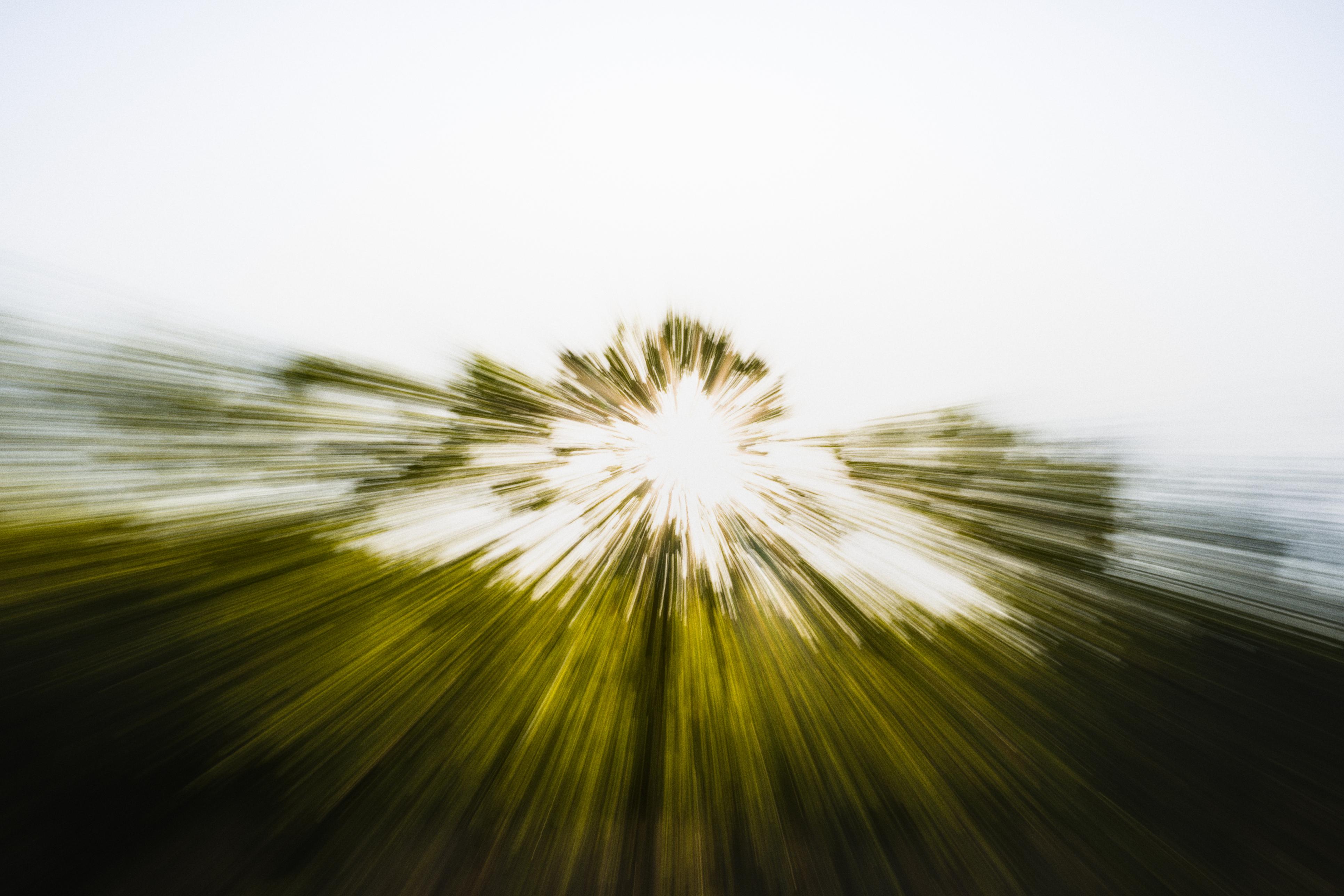 photo contre-jour, lumière, plantes, Julien Franck
