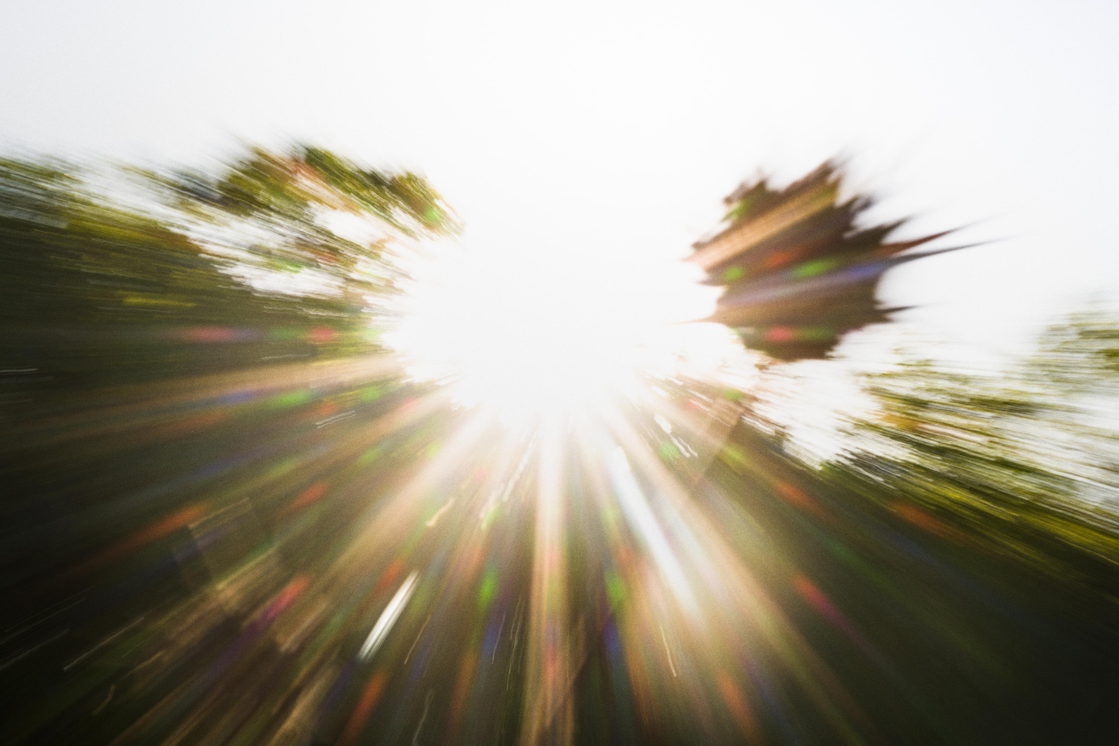 photo contre-jour, lumière, plantes, Julien Franck