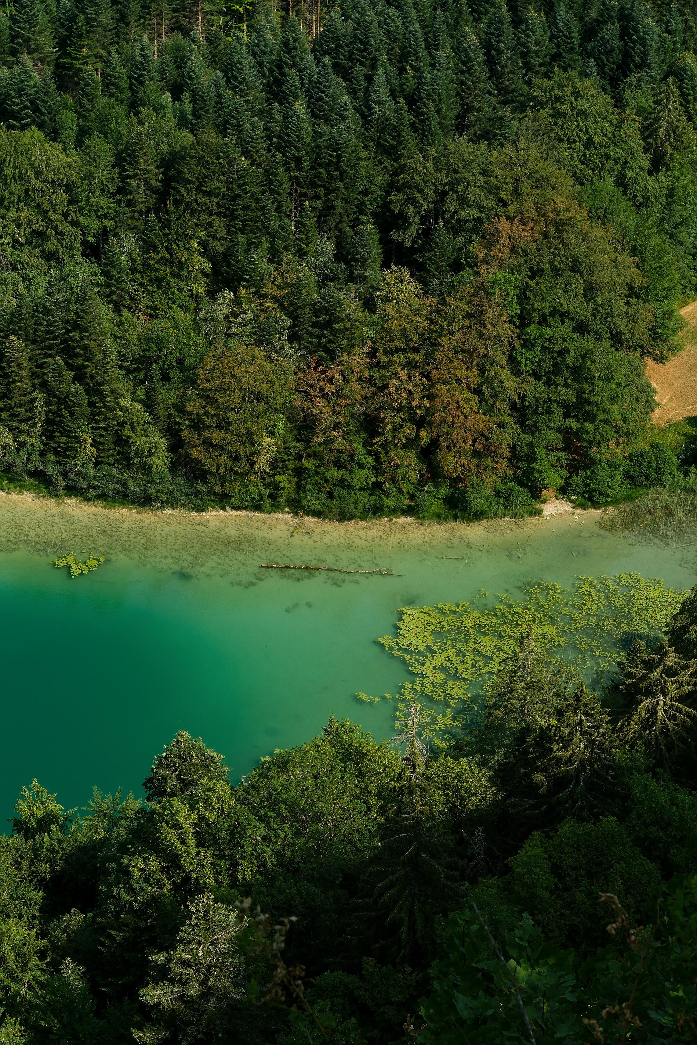photo lac, belevédère des 4 lacs, Jura, Julien Franck