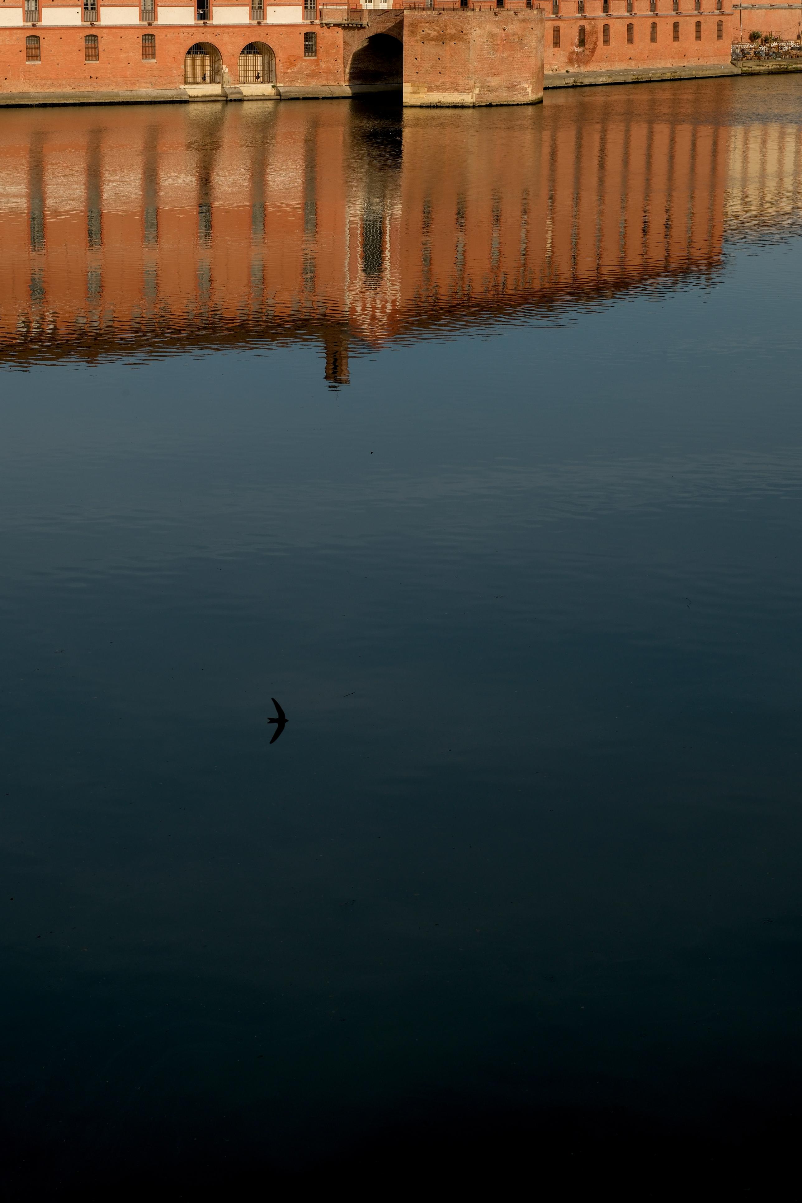photo de la Garonne, Pont Neuf, Toulouse, Julien Franck